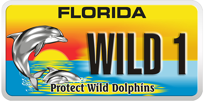 photo of protect wild dolphins specialty license plate