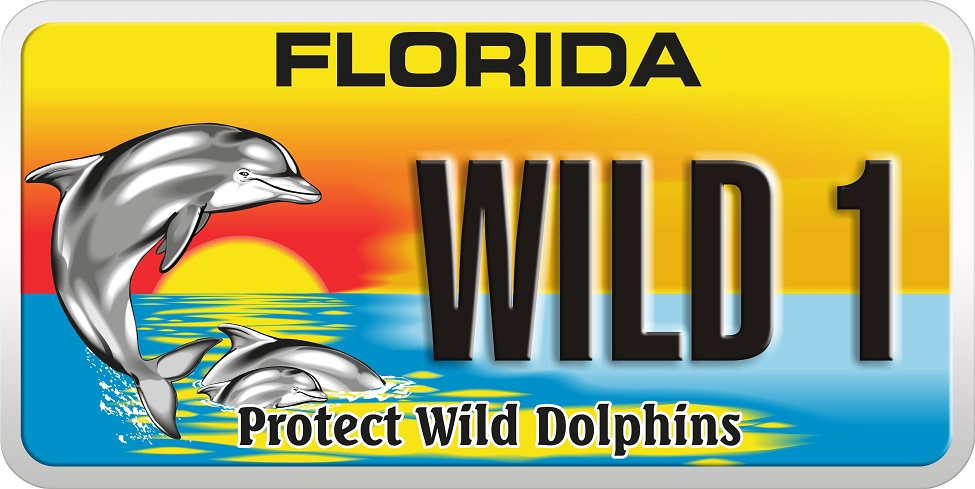 photo of protect wild dolphins specialty license plate